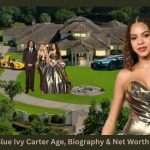 Blue Ivy Carter Age, Biography & Net Worth